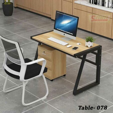 Modern Design Computer Desk With Cabinet (T-078)